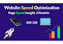 do wordpress speed optimization  website speed  page speed